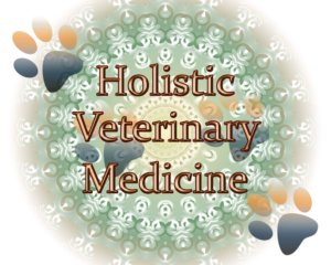 Holistic Dog Care