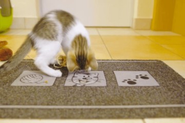 Cat Doormat Archives Tips Tricks For Pets