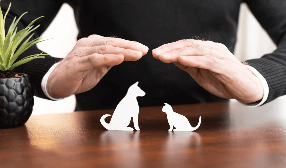 Pet Insurance & Pet Health Insurance: Financial Security in Pet Care