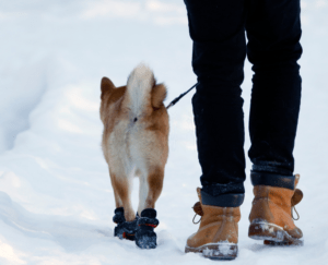 Stylin’ Snow Boots
