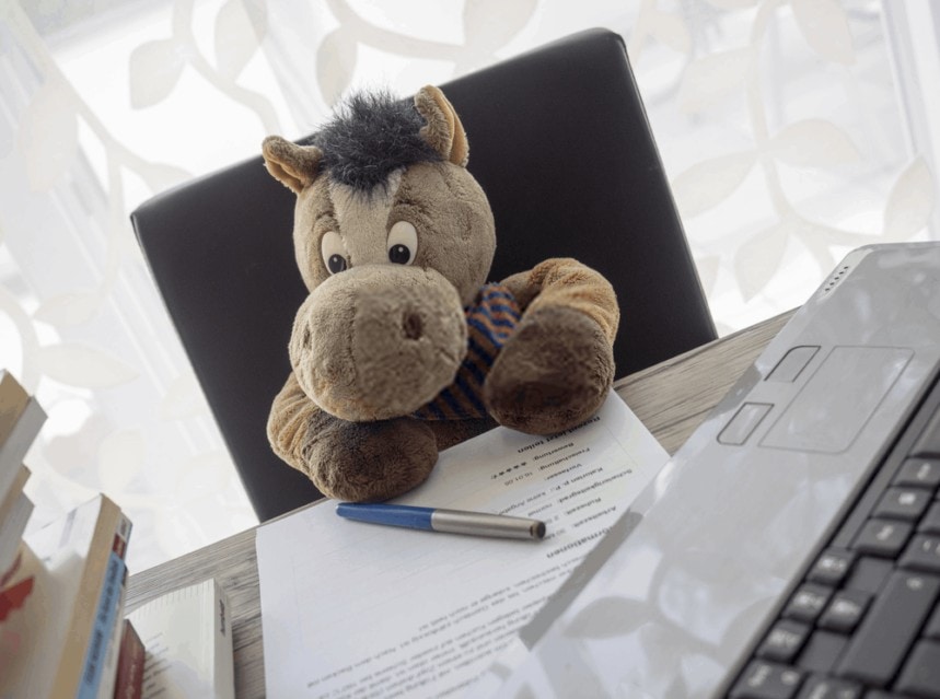 Horse Insurance Quote | Tips & Tricks for Pets
