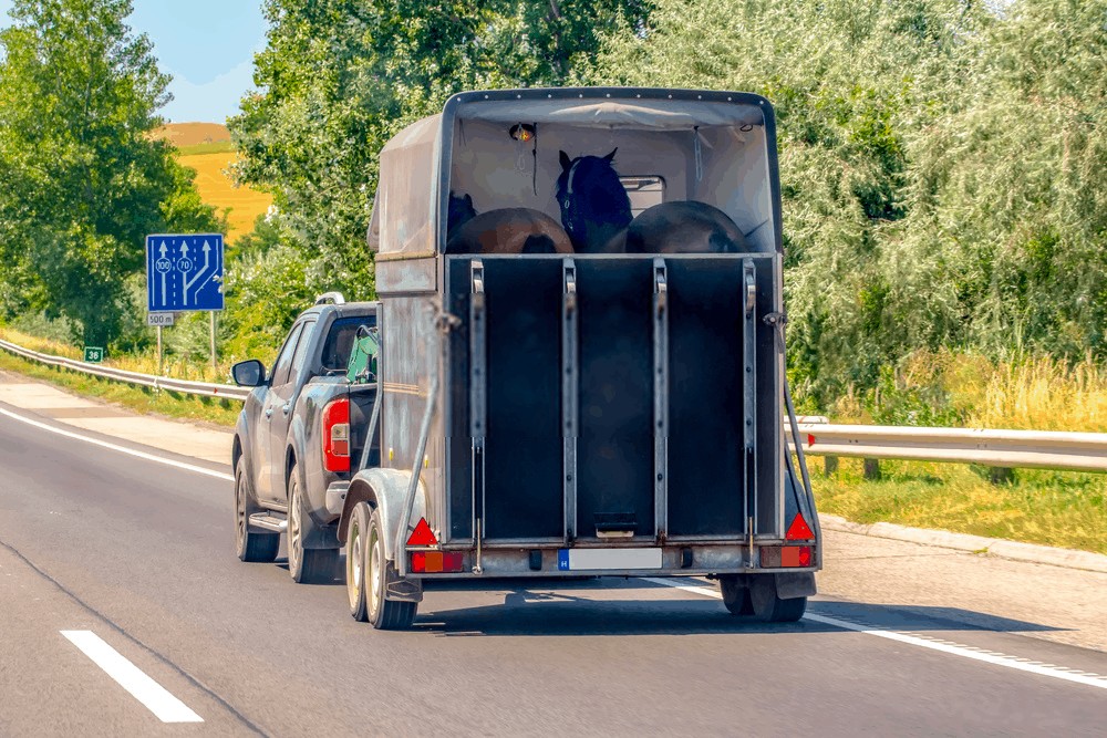 Significant Tips On how to Select The Appropriate Horse Trailer