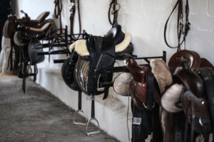 Horse Saddles Information and Tips